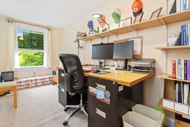 9 Emerson Ct, Winchester, MA 01890 - office featuring carpet flooring