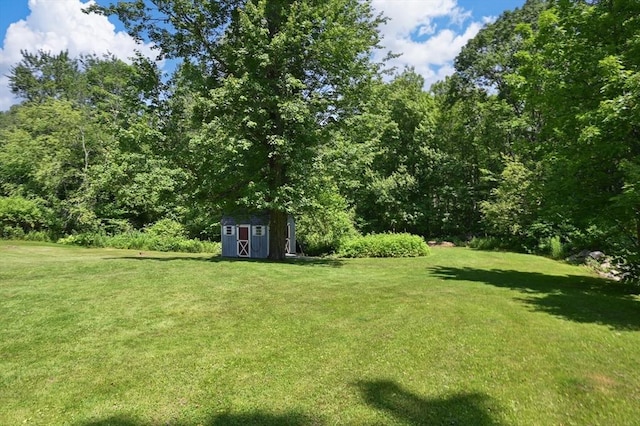 241 W Main St, Westborough, MA 01581 - view of green lawn featuring a storage shed and a view of trees