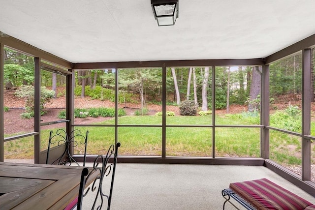 369 Border Rd, Concord, MA 01742 - sunroom / solarium with carpet flooring