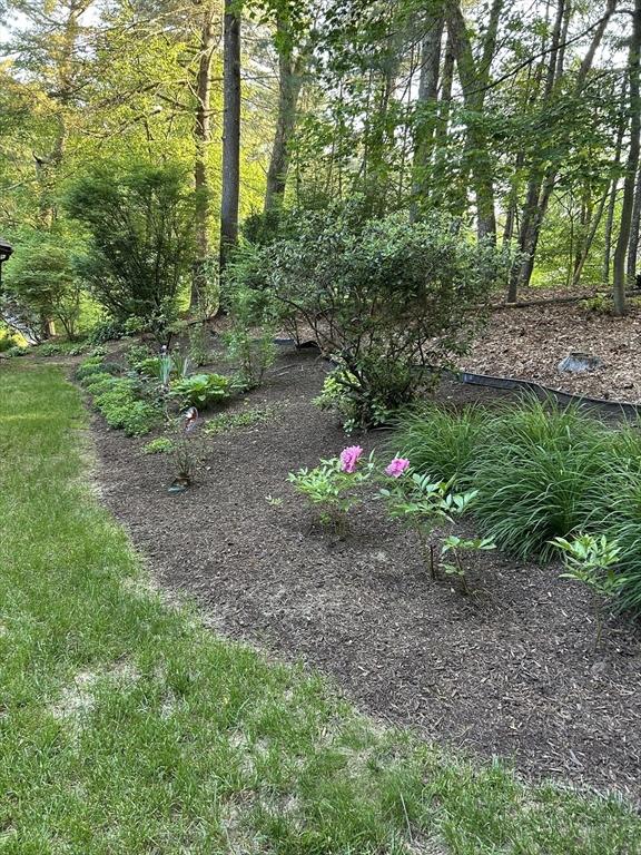 369 Border Rd, Concord, MA 01742 - view of yard