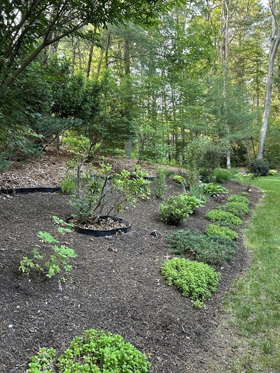 369 Border Rd, Concord, MA 01742 - view of nature