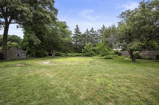 view of yard featuring a storage shed