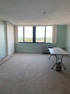 miscellaneous room featuring light colored carpet