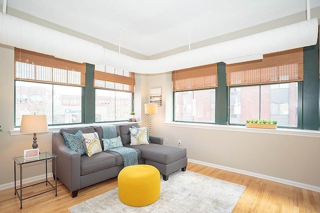 living area featuring baseboards and wood finished floors