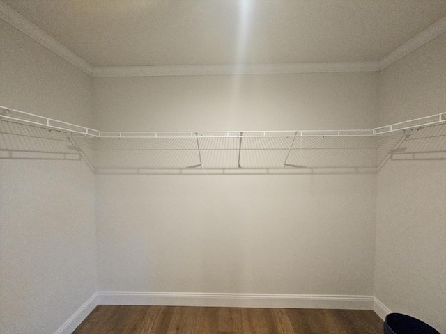 spacious closet with dark hardwood / wood-style flooring