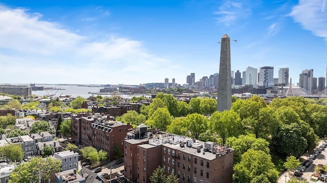 drone / aerial view of a view of skyline and a large body of water