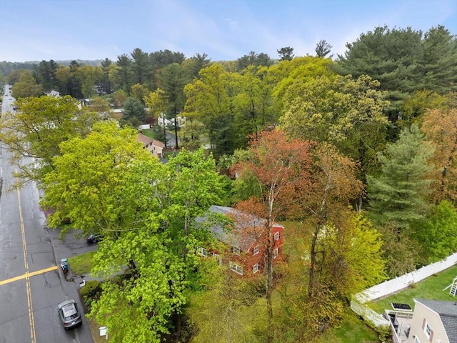 bird's eye view