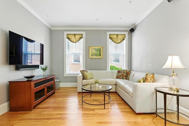 2 Cumston St Unit 2, Boston, MA 02118 - living room featuring light wood-type flooring, crown molding, and baseboards