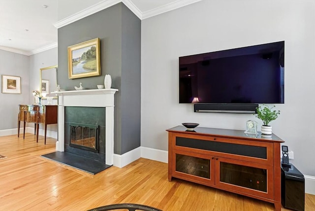 2 Cumston St Unit 2, Boston, MA 02118 - living area featuring wood finished floors, a tiled fireplace, crown molding, and baseboards
