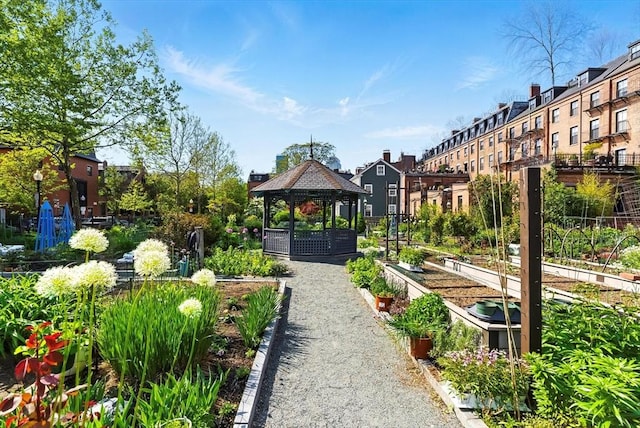 2 Cumston St Unit 2, Boston, MA 02118 - view of home's community with a gazebo and a garden