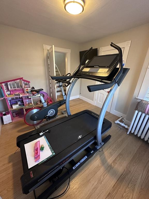 workout room featuring wood-type flooring