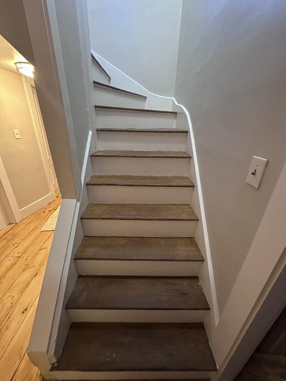 staircase featuring wood-type flooring