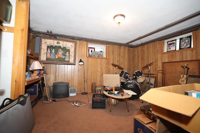 interior space featuring wood walls and carpet floors