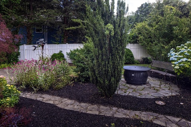 view of yard featuring a patio area