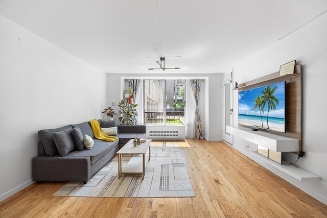 99 Pond Ave Unit 202, Brookline, MA 02445 - living room featuring light wood-type flooring and radiator heating unit