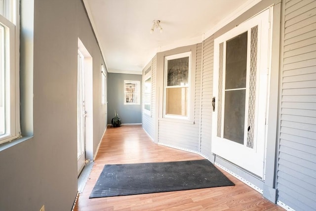 interior space with ornamental molding, a healthy amount of sunlight, and light hardwood / wood-style floors