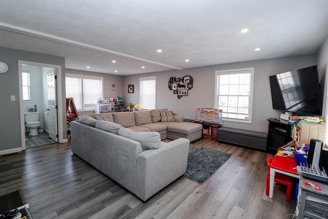 living room featuring recessed lighting and wood finished floors