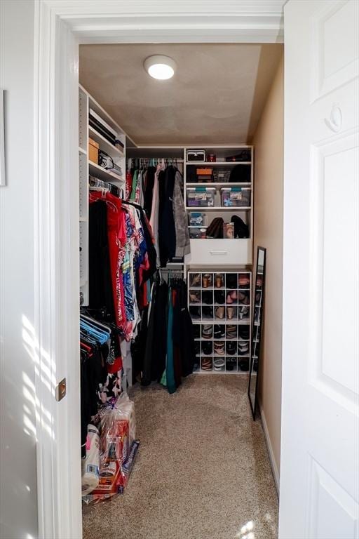 walk in closet with carpet floors