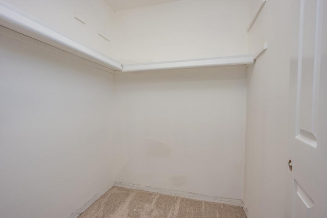 walk in closet with light carpet