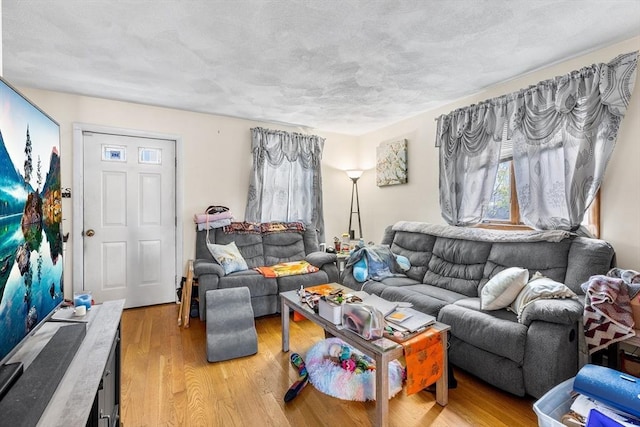 21 Hillside Ave Unit 21, Everett, MA 02149 - living area with light wood-style flooring