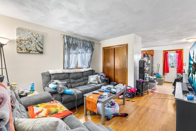 21 Hillside Ave Unit 21, Everett, MA 02149 - living room featuring light wood-type flooring, plenty of natural light, and a textured ceiling