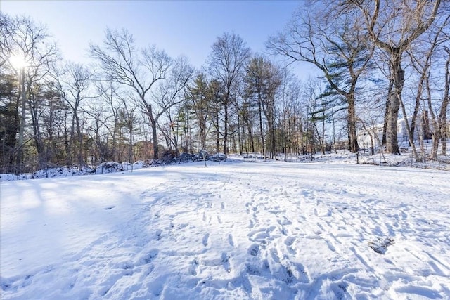 view of yard covered in snow