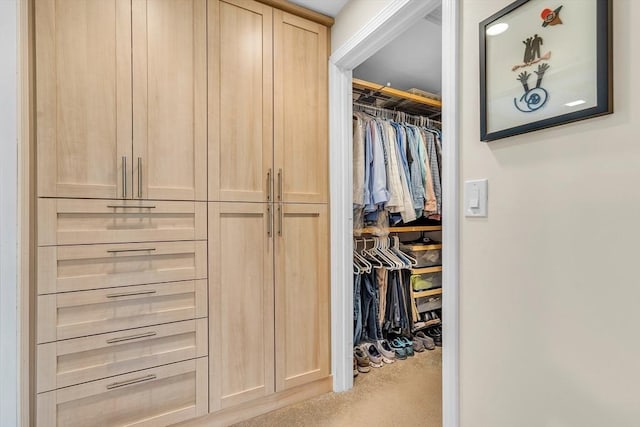 view of closet