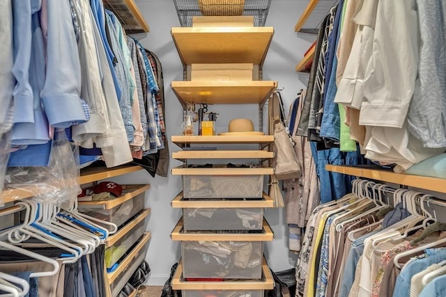 view of walk in closet