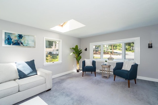 6 Macarthur Rd, Natick, MA 01760 - sitting room featuring a skylight, baseboard heating, and carpet flooring