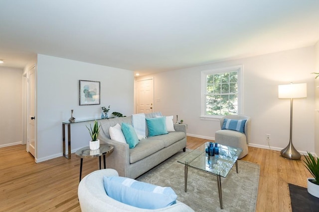6 Macarthur Rd, Natick, MA 01760 - living area with light wood-type flooring