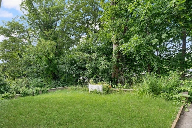 376 N Underwood St, Fall River, MA 02720 - view of yard