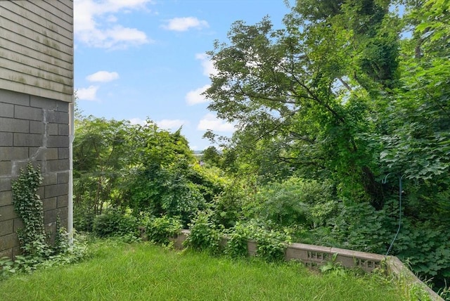 376 N Underwood St, Fall River, MA 02720 - view of yard