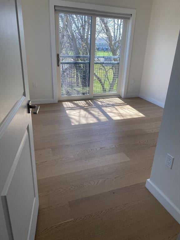 16 Boardman St Unit 204A, Boston, MA 02128 - unfurnished room featuring plenty of natural light, baseboards, and wood finished floors