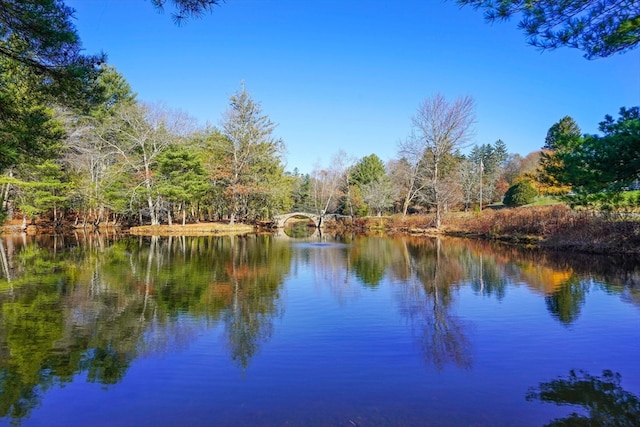 property view of water