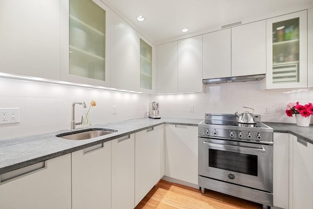 kitchen featuring stainless steel stove, a sink, under cabinet range hood, backsplash, and white cabinets