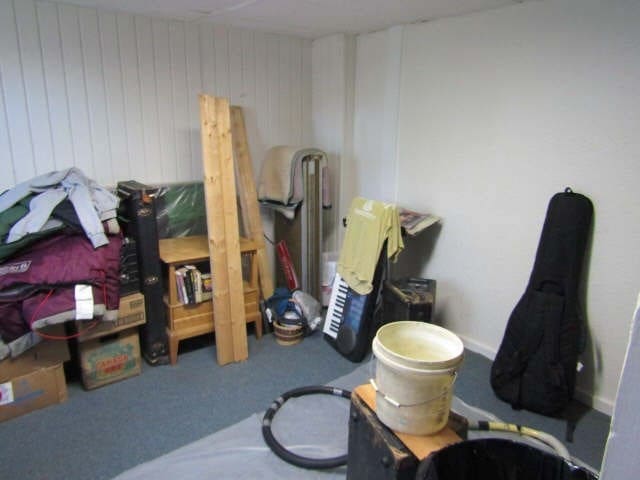 miscellaneous room featuring carpet and wood walls