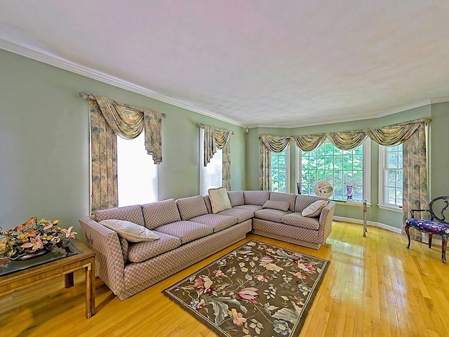 46 Clear Pond Rd, Falmouth, MA 02540 - living room featuring crown molding and wood-type flooring