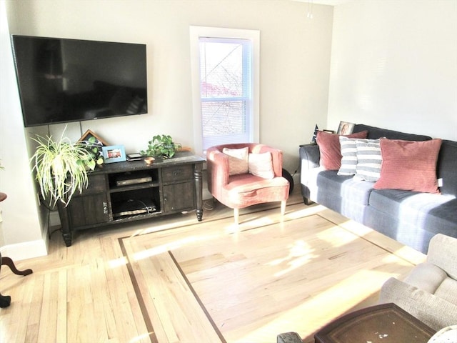 living room with wood finished floors