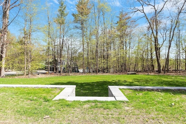 exterior space with a yard