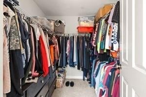 5 Comanche Cir Unit 5, Haverhill, MA 01835 - spacious closet with carpet floors
