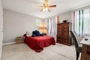 5 Comanche Cir Unit 5, Haverhill, MA 01835 - bedroom with baseboards, carpet flooring, and ceiling fan
