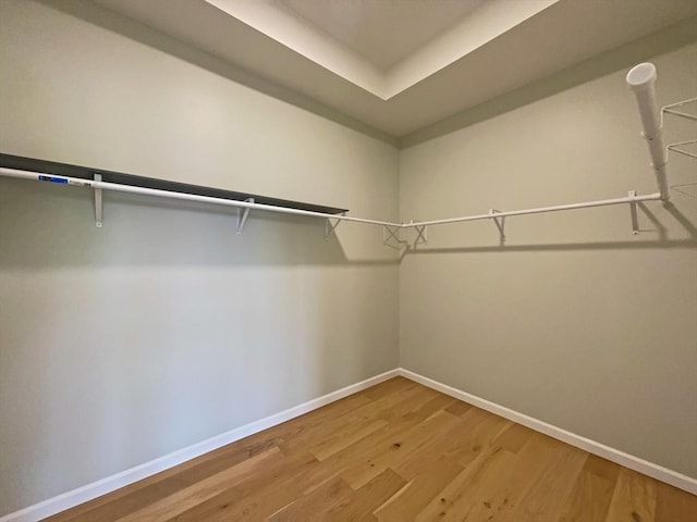 101 N Rd, Westfield, MA 01085 - walk in closet with light wood finished floors