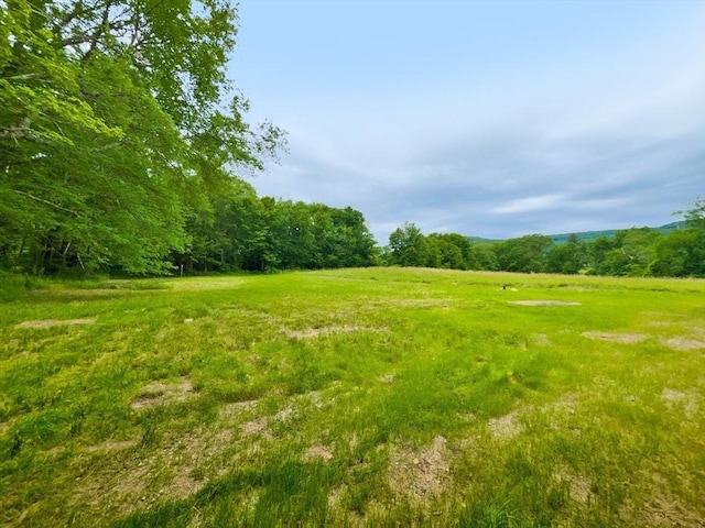 101 N Rd, Westfield, MA 01085 - view of yard with a forest view and a rural view