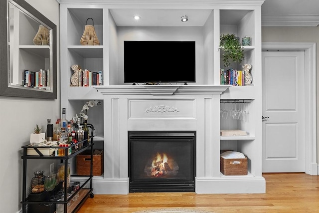 10 Mitchell St Unit 3, Boston, MA 02127 - detailed view of wood finished floors, a lit fireplace, and built in shelves