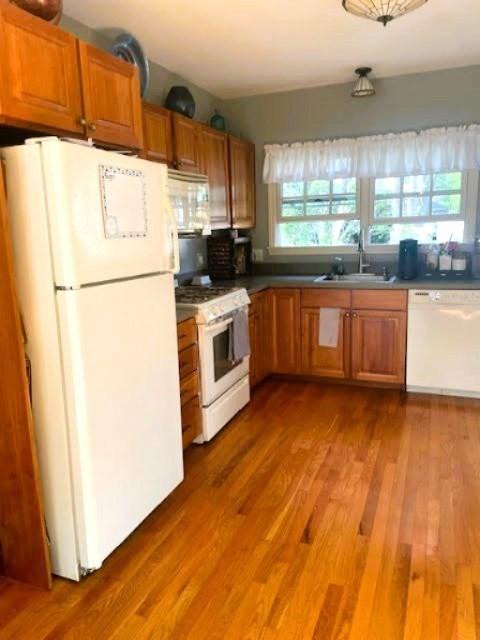 kitchen with white appliances, a sink, brown cabinets, and plenty of natural light