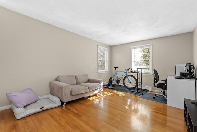 office with baseboards and wood finished floors