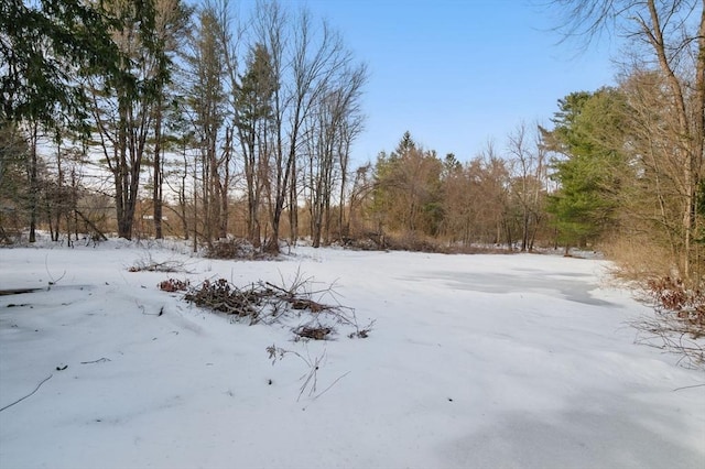 view of yard layered in snow