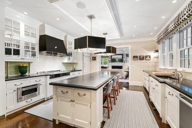 kitchen featuring range hood, a sink, dark countertops, dark wood-style floors, and appliances with stainless steel finishes