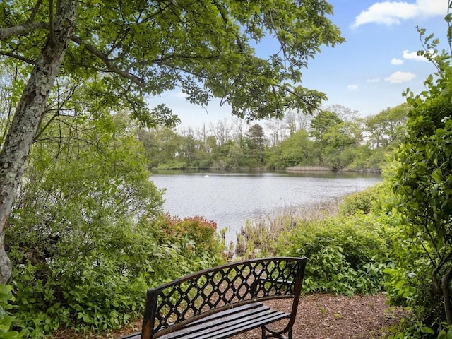 24 Bettys Pond Rd Unit K, Barnstable, MA 02601 - water view with a heavily wooded area