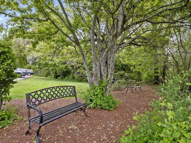 24 Bettys Pond Rd Unit K, Barnstable, MA 02601 - view of home's community featuring a yard